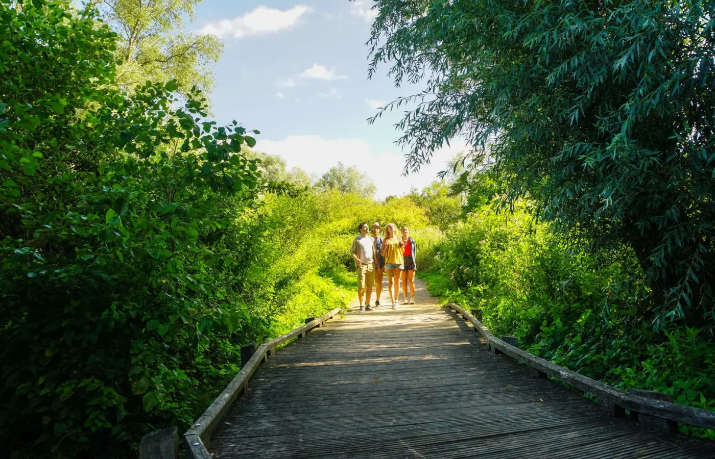 <img alt="" src="/images/l/e/s/-/b/les-ballastieres-d1014e0d.webp?title" />